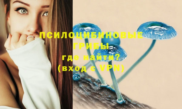 скорость Гусиноозёрск