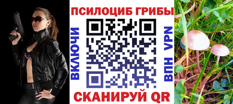 Купить закладки  Инсар  Псилоцибиновые грибы мицелий 
